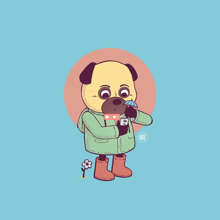 dog in fog