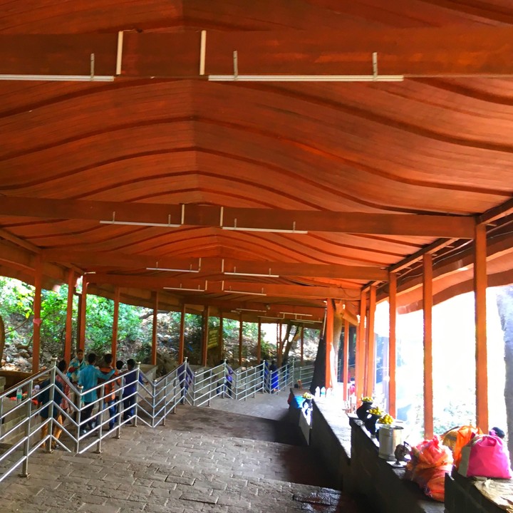 #structure # wood # ceiling # pavilion # roof