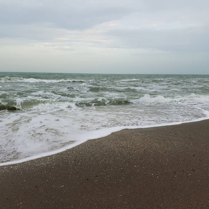my sea