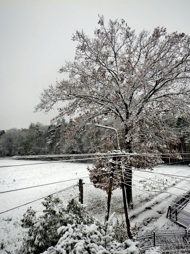 First snow