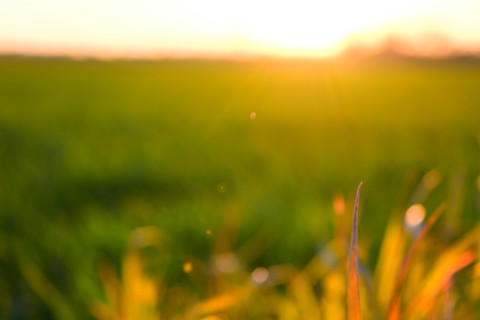 Turn your face towards the sun.