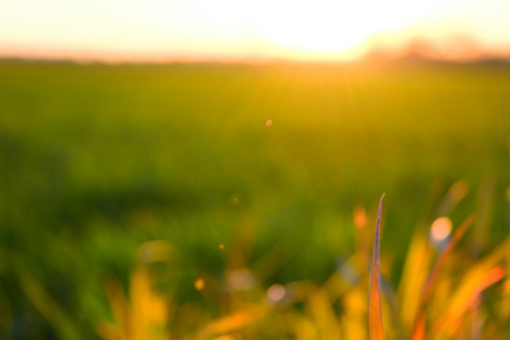Turn your face towards the sun.