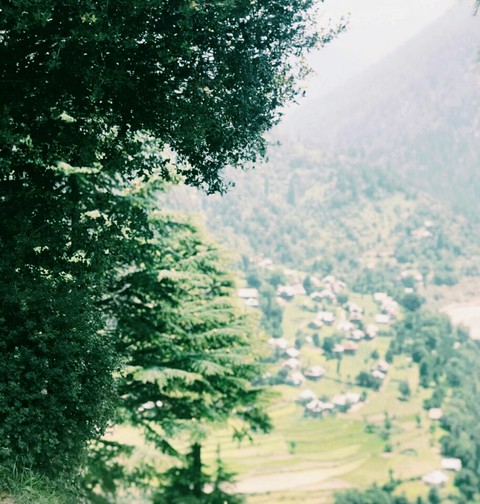 nature