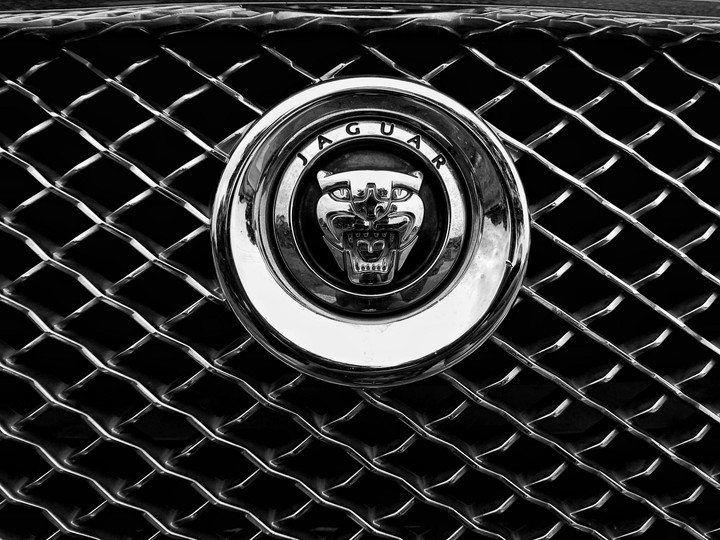 Jaguar