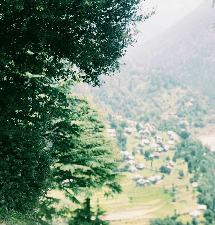 nature
