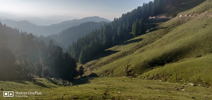 Himachal Dairies