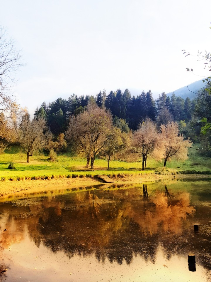 Autumn