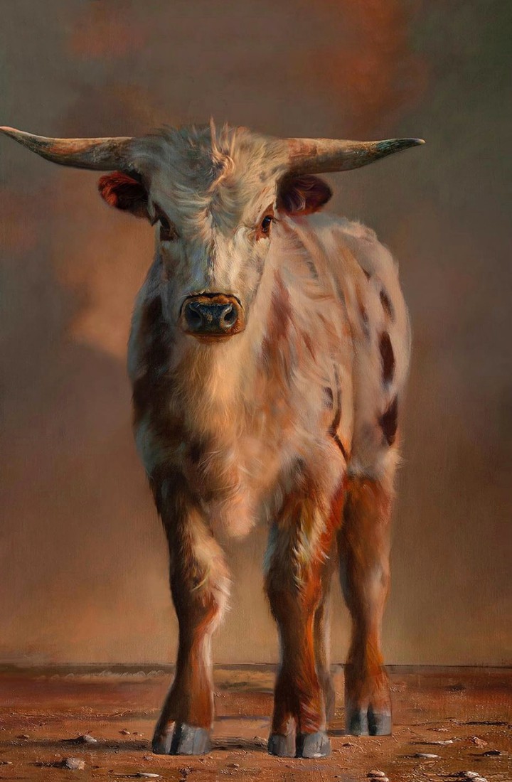 Bullock