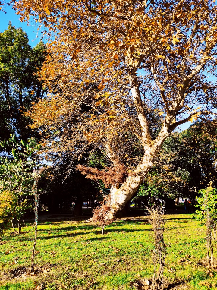 The last day of autumn