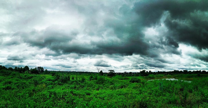 nature beauty