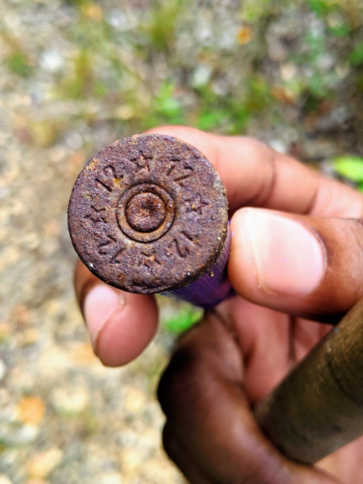 Rusty Shell