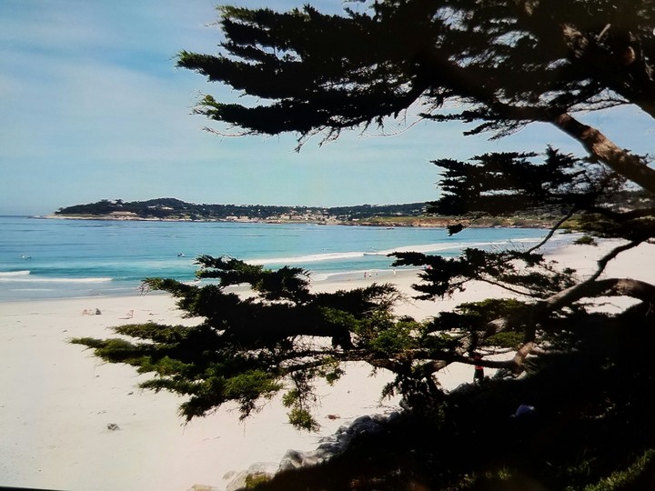 Carmel Beach