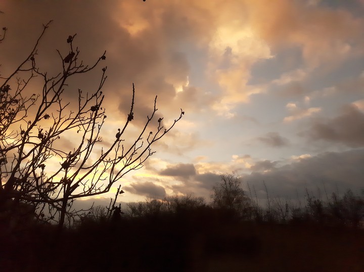 Sky lover