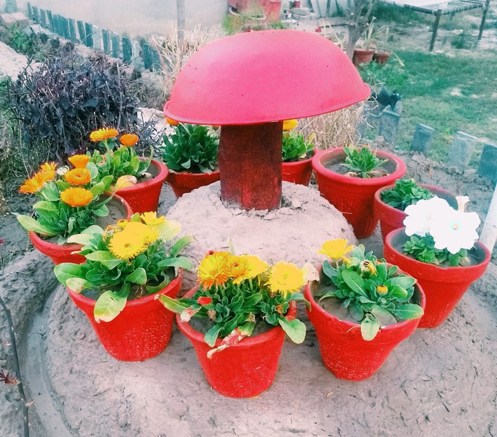 spring