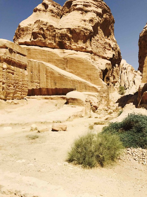 Jordanian Desert