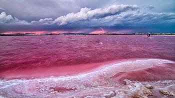 pembe göl