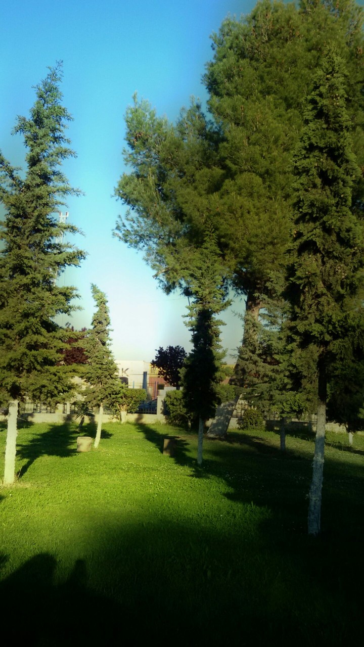 park