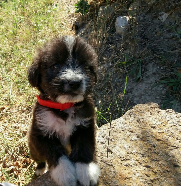 baby Ugo