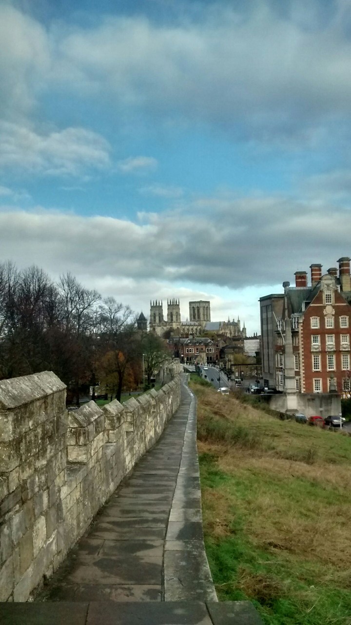 Yorks icon