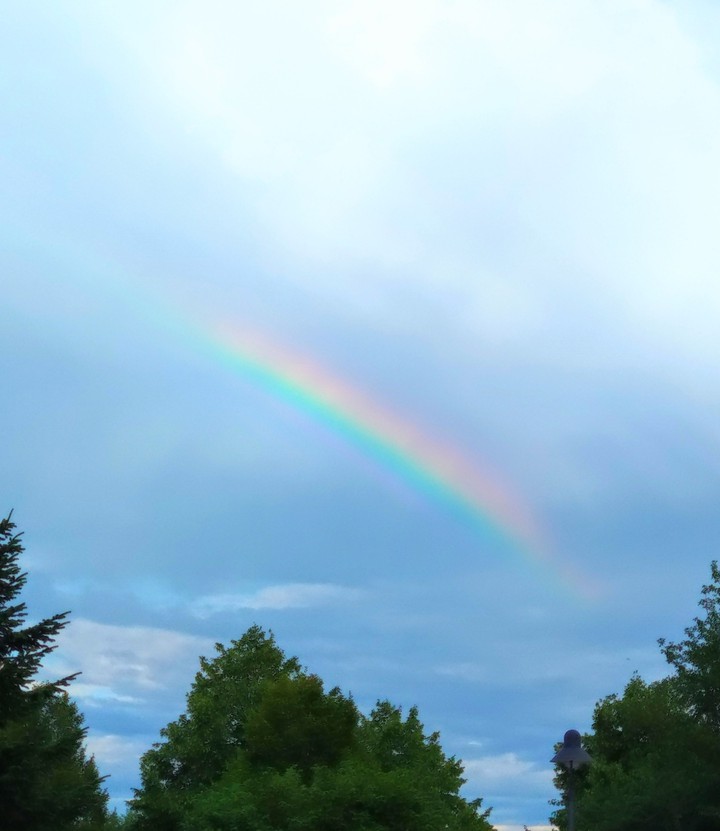 Regenbogen ?