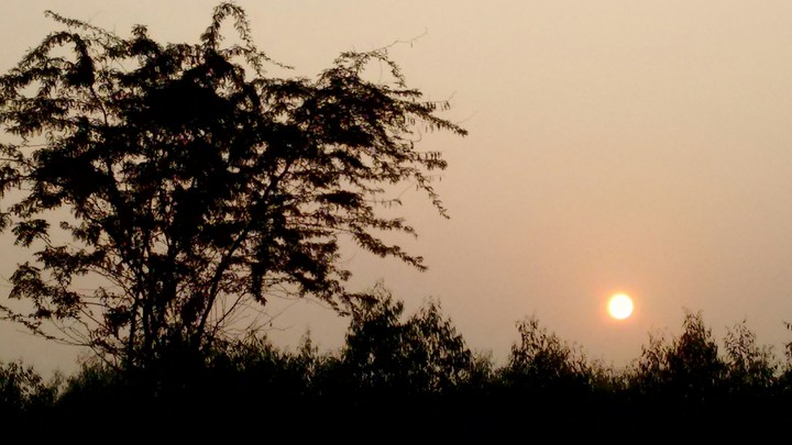Sun Rise
