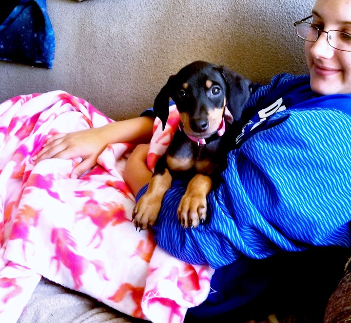 my dog3