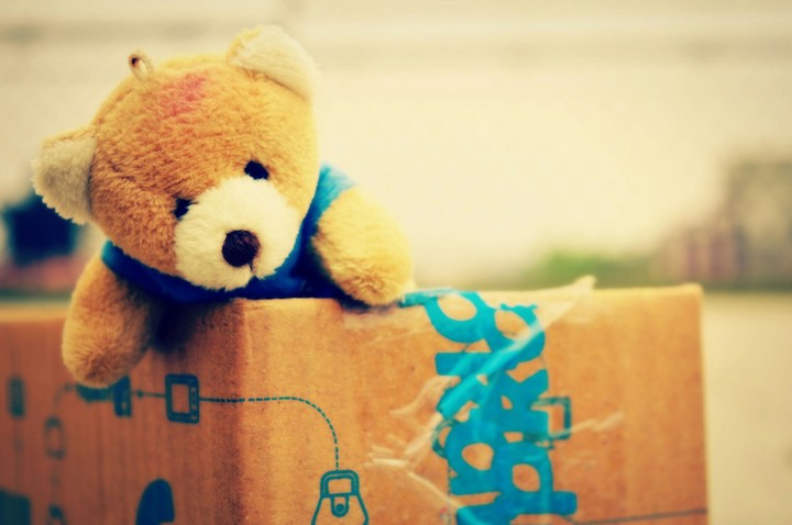 Teddy