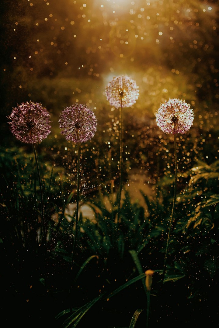 Learn to admire the beauty of nature..