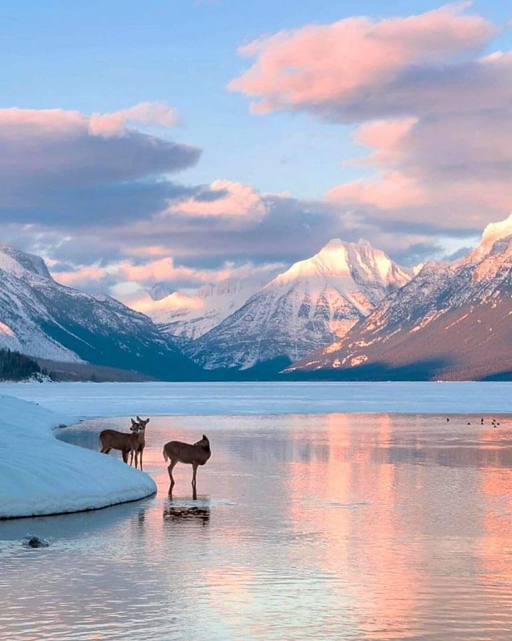 mountain