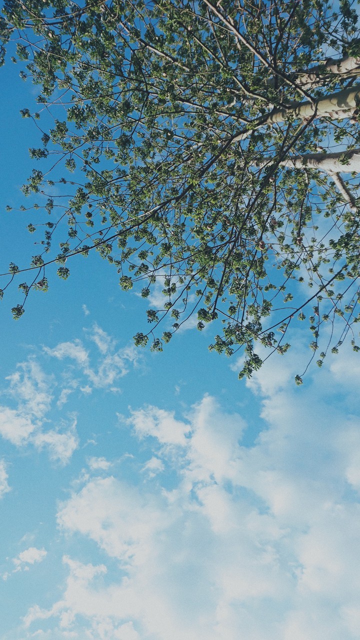 a different kind of blue