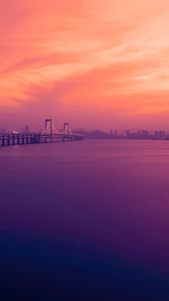 Pinky Dawn