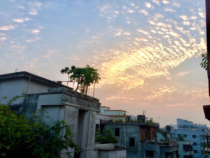 হলুদ অাসমান