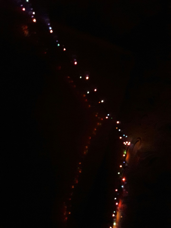new year