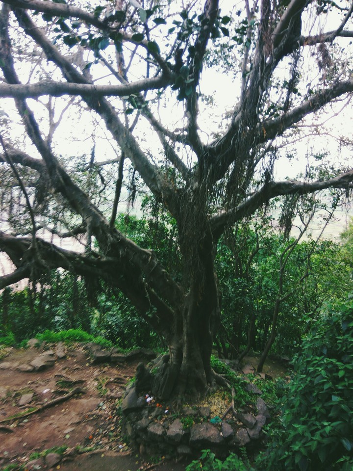 Old n Strong..