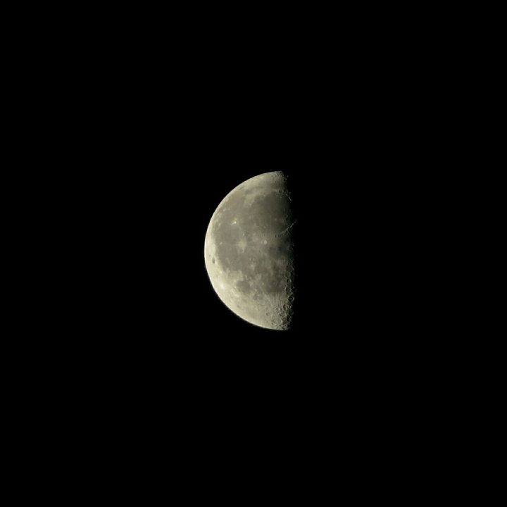 the mooooon