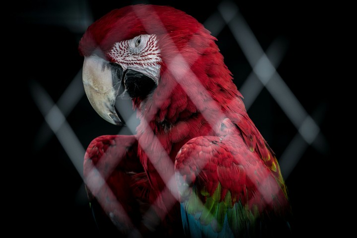 Mj photography Mahesh jadhav