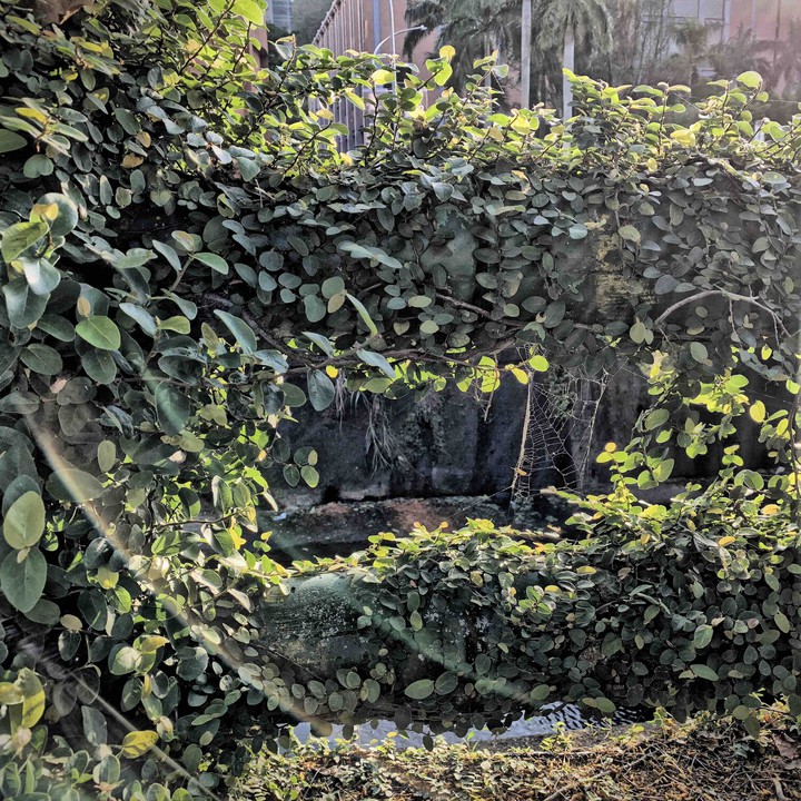 Fence in Academia Sinica