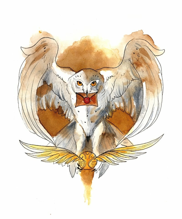 owl coruja