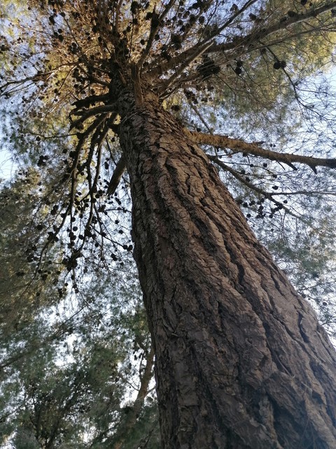 huge