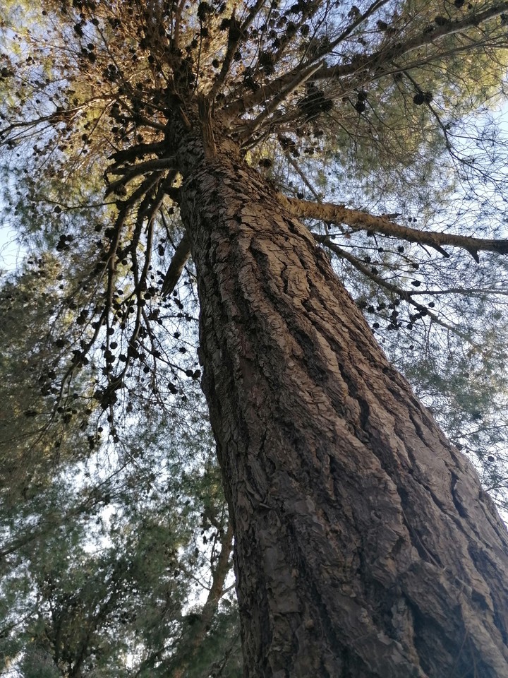 huge