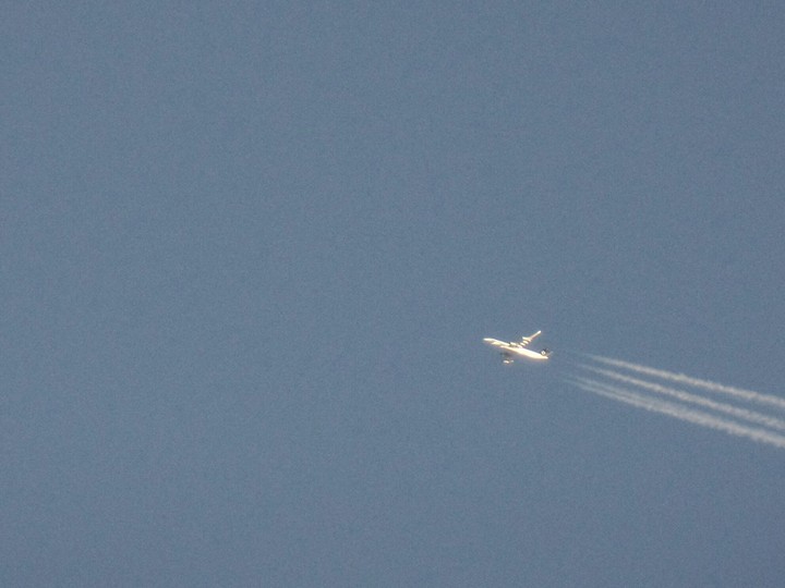 Take to the Sky