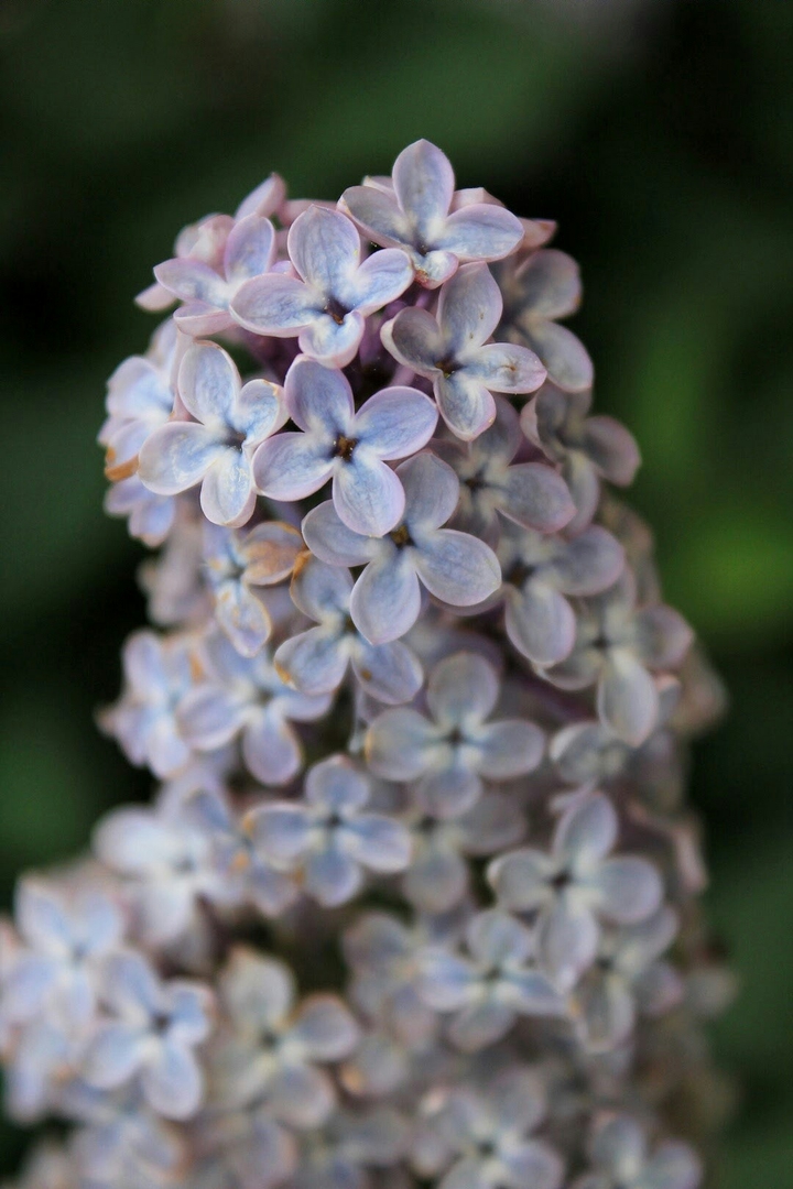 ~