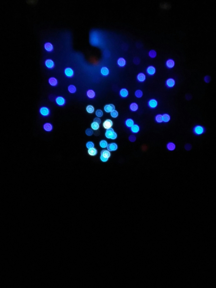 Stars...
