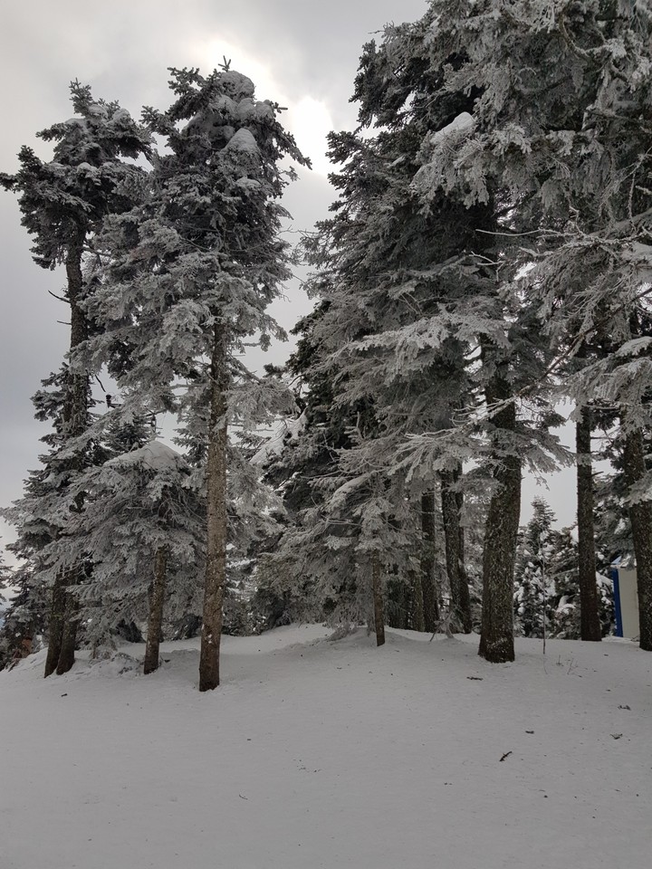 turkey ılgaz