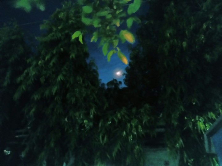 beautiful moon