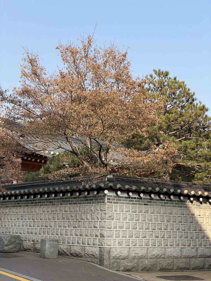 한옥풍경