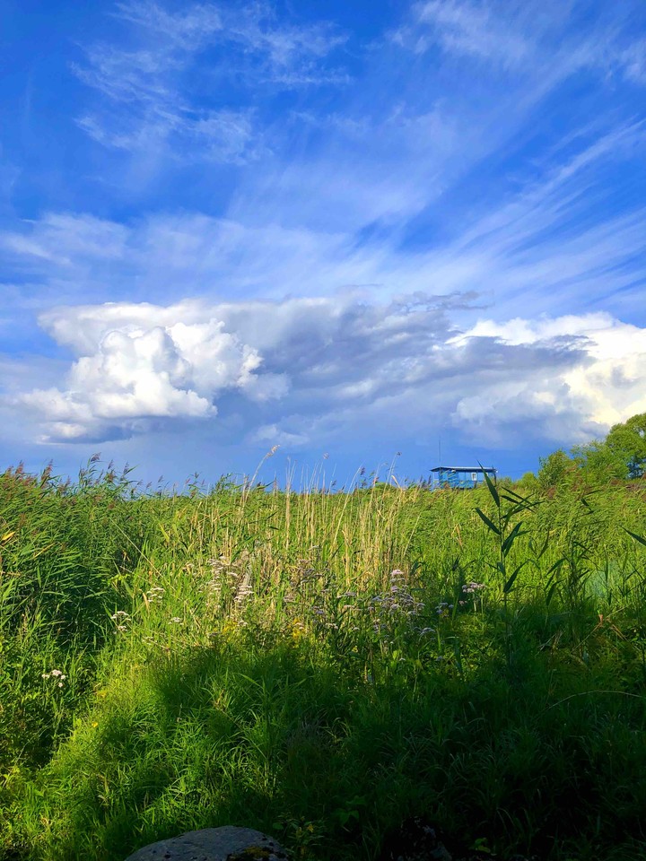 Sky