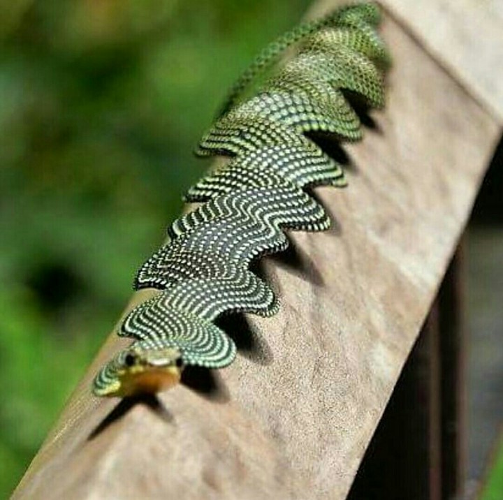 Amazing shape