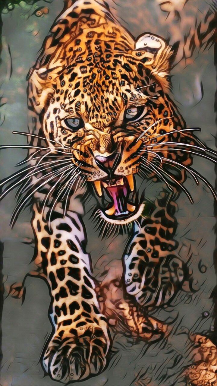 Gepard