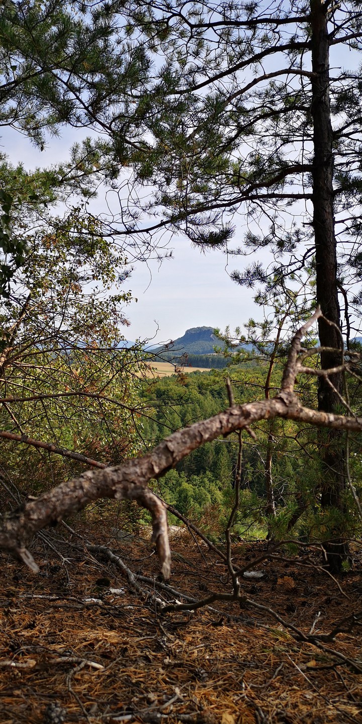 Sächsische Schweiz Bärenstein